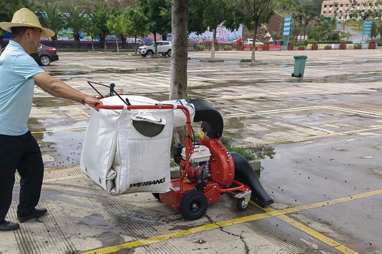 云南昆明寶來潔燃油版WBLV506H吸葉機(jī)道路草叢 公園物業(yè)小區(qū)學(xué)校市容保潔吸樹葉機(jī)